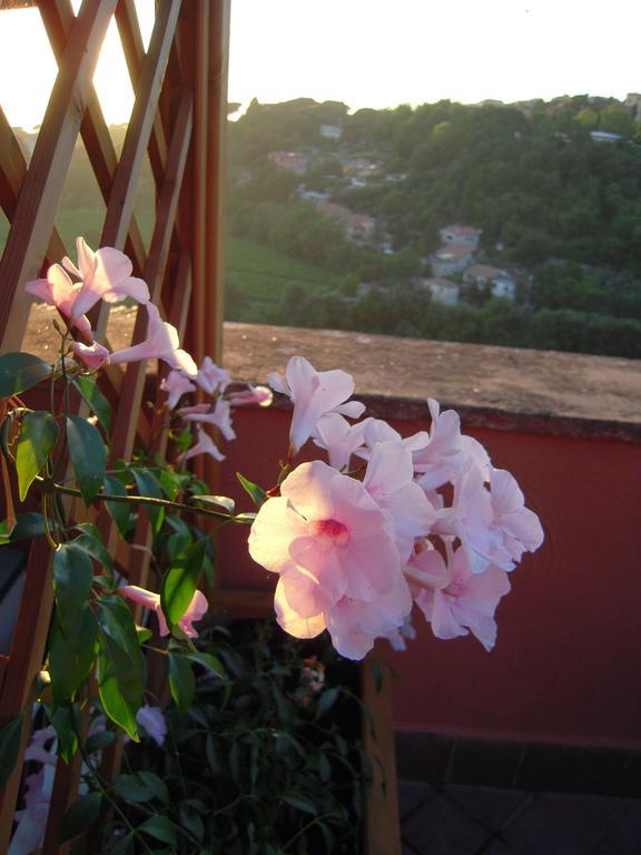 Casa Vacanze Palazzo Primoli 아리차 외부 사진